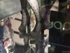 topshop-windows-oct12-04
