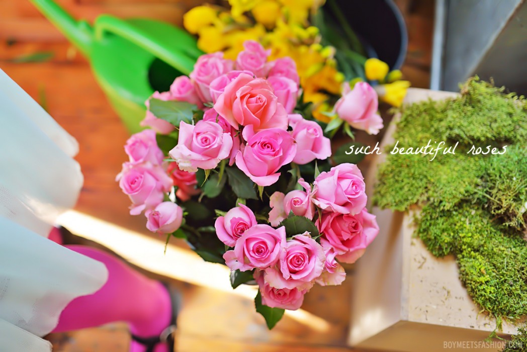 FAVOURITE-FLOWERS-10