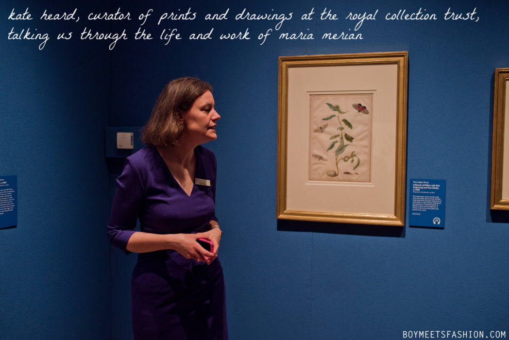 SCOTTISH-ARTISTS-CALEDONIA-MARIA-MERIAN-BUTTERFLIES-BUCKINGHAM-PALACE-12