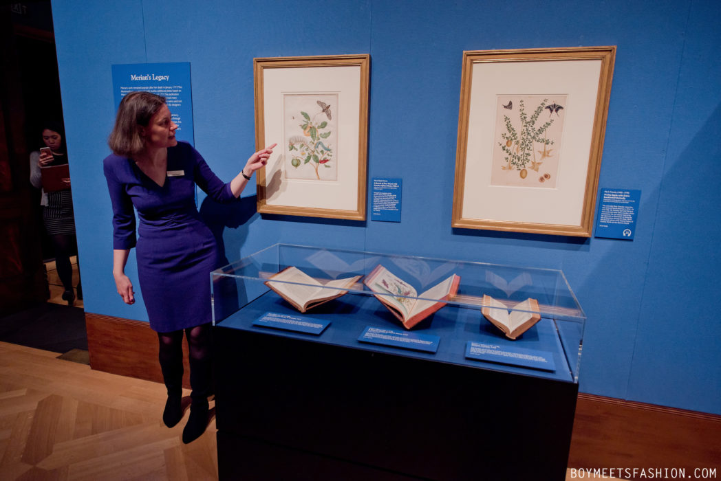 SCOTTISH-ARTISTS-CALEDONIA-MARIA-MERIAN-BUTTERFLIES-BUCKINGHAM-PALACE-20