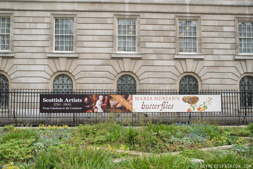 SCOTTISH-ARTISTS-CALEDONIA-MARIA-MERIAN-BUTTERFLIES-BUCKINGHAM-PALACE-37